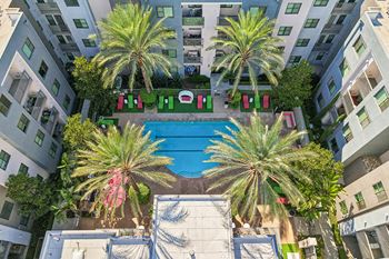 Splash: high energy pool and entertainment plaza